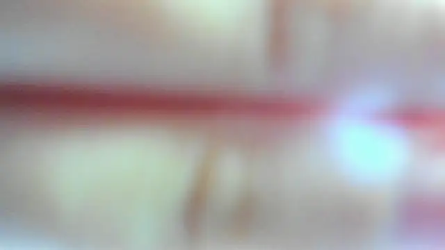 leila bambi  online show from 17, 2, 2026