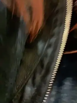 Snapshot of RinaCat chatting on 24, 12, 2024 RinaCat online show from 24, 12, 2024