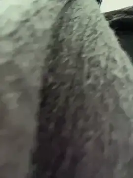 Snapshot of RinaCat chatting on 6, 1, 2025 RinaCat online show from 6, 1, 2025