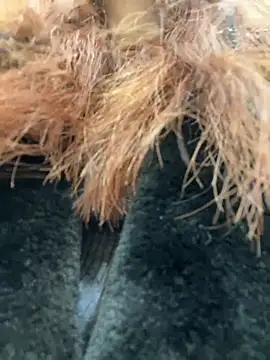 Snapshot of RinaCat chatting on 9, 1, 2025 RinaCat online show from 9, 1, 2025