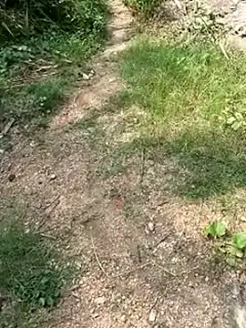 TamizhanKishwin7 online show from 9, 11, 2025