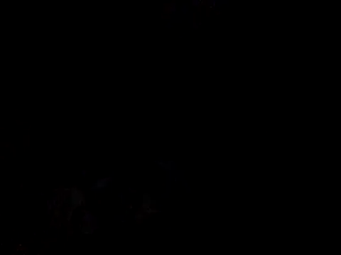 Skinnynerd online show from 9, 1, 2026