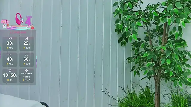 EmilyColle  online show from 14, 1, 2026