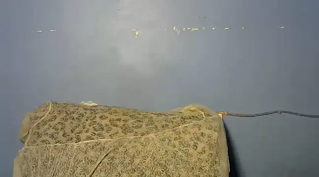 shishbabe online show from 4, 3, 2025