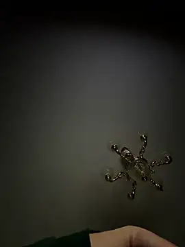 Jose rz online show from 23, 3, 2026