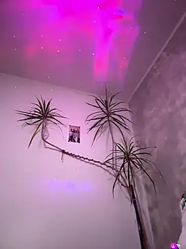 derek1494 online show from 5, 1, 2026