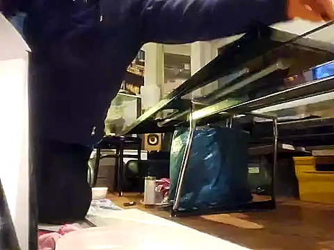 0815lukas2024 online show from 7, 12, 2024