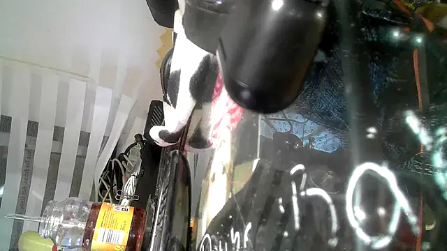 0815lukas2024 online show from 9, 9, 2025