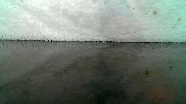 0815lukas2024 online show from 22, 10, 2025