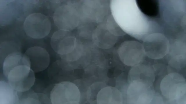 0815lukas2024 online show from 22, 12, 2025