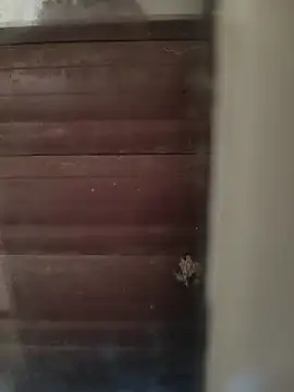 Snapshot of hardgetsex chatting on 4, 10, 2025 hardgetsex online show from 4, 10, 2025