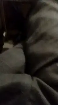 myhot1551 online show from 15, 2, 2025