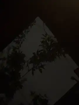 holyeroticss online show from 25, 9, 2025