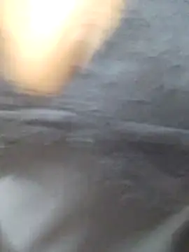 Banii 22 online show from 24, 2, 2025