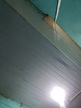 novinhooxz online show from 2, 4, 2026