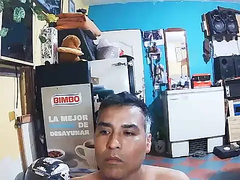 DiAntool online show from 19, 1, 2026