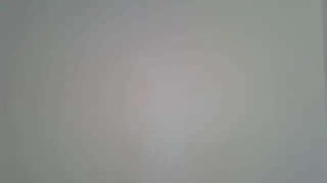 laetitia  online show from 20, 4, 2026