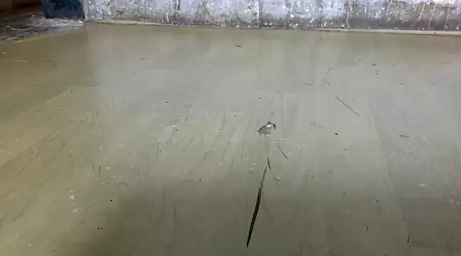 itstherahul online show from 17, 2, 2025