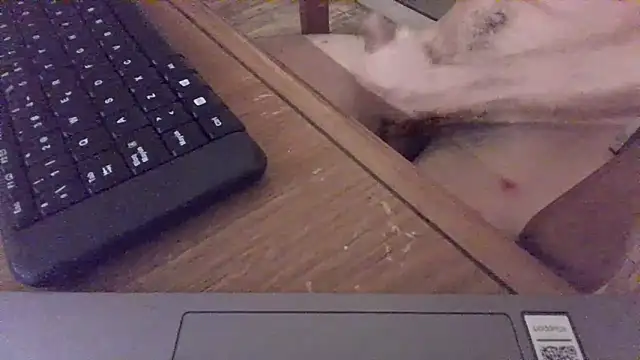 Snapshot of nicolaaaaas chatting on 14, 2, 2025 nicolaaaaas online show from 14, 2, 2025