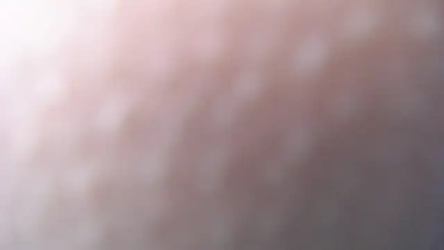 luly pink online show from 20, 12, 2024