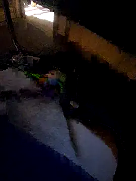 daddysmalldick502 online show from 4, 11, 2025