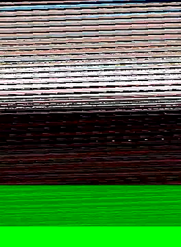 hungandtatted666 online show from 3, 1, 2025