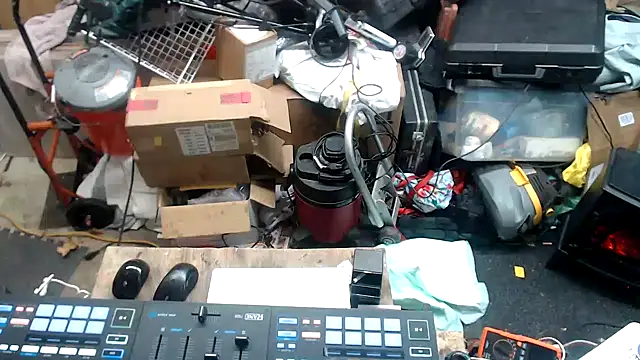 tongueispowerr6d9 online show from 9, 12, 2024