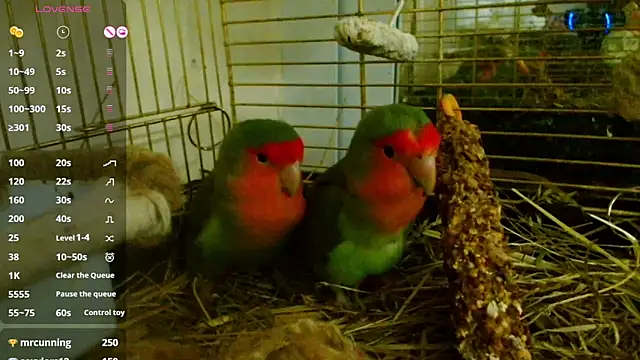 Sophie Bell online show from 7, 2, 2025