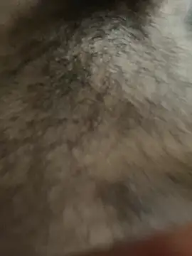 legendcock123 online show from 18, 2, 2026