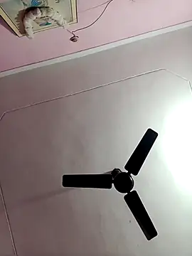 SHUBHI880 online show from 15, 11, 2025