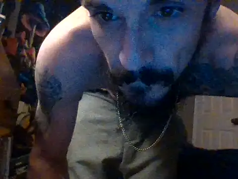 Snapshot of Tipski chatting on 12, 2, 2025 Tipski online show from 12, 2, 2025