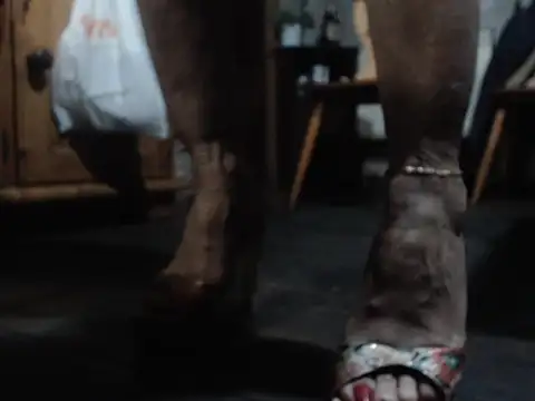 eva2023sexy online show from 5, 2, 2026