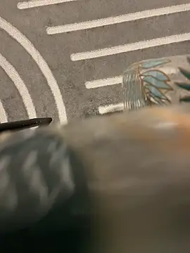 Snapshot of dimitriei chatting on 15, 11, 2025 dimitriei online show from 15, 11, 2025