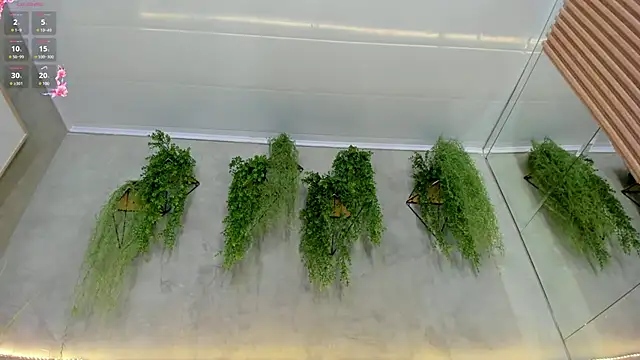 Lana Lann online show from 15, 3, 2025