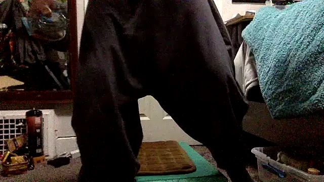 Robriguezxxx online show from 26, 12, 2024