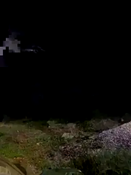 funpharoh1 online show from 31, 10, 2025