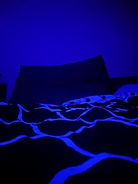 Snapshot of McdyllanXX chatting on 11, 1, 2025 McdyllanXX online show from 11, 1, 2025