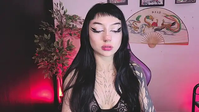 catipetite online show from 24, 6, 2026
