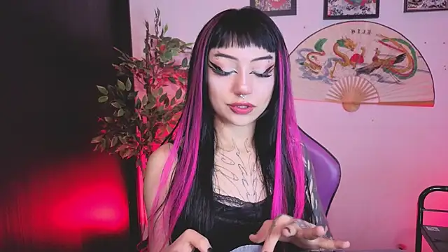 catipetite online show from 6, 7, 2026