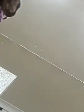 Off the Lesh online show from 2, 3, 2026