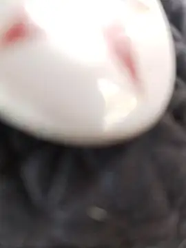 taaylor33 online show from 27, 2, 2026