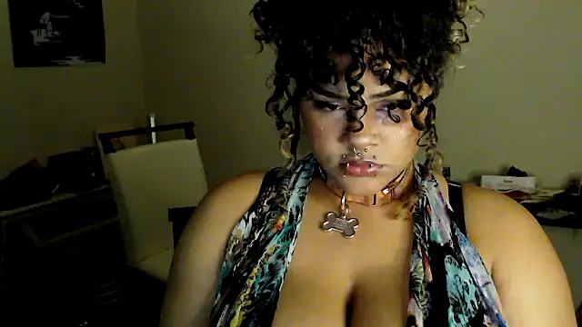 ozzieboz online show from 12, 4, 2026