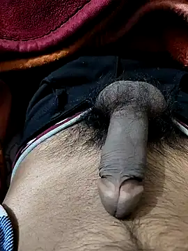 PAWARXX 0 online show from 9, 1, 2025