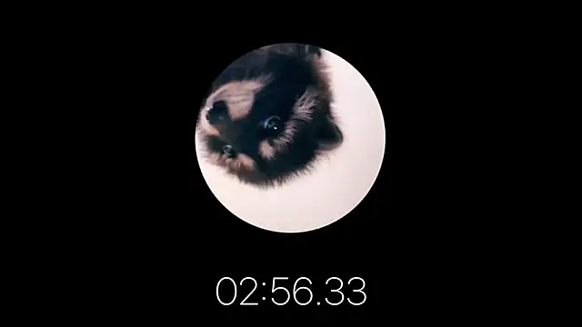 les mod sc2 online show from 12, 2, 2025