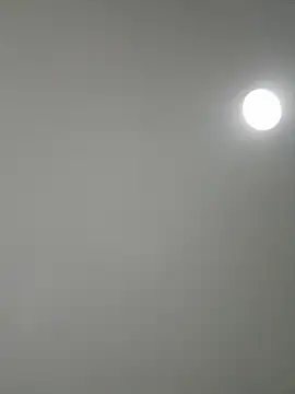 Snapshot of Amber_Rush_ chatting on 8, 9, 2025 Amber Rush  online show from 8, 9, 2025