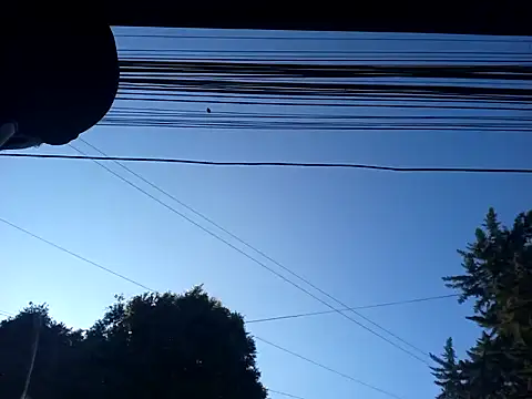 weedmanhot28 online show from 30, 1, 2025