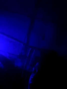 Snapshot of jordontheone1 chatting on 5, 11, 2025 jordontheone1 online show from 5, 11, 2025