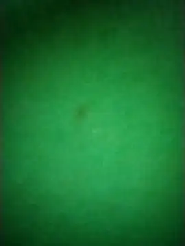 Zane Natha online show from 10, 11, 2025