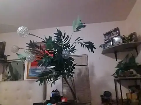 mrwinsalot88 online show from 19, 12, 2025