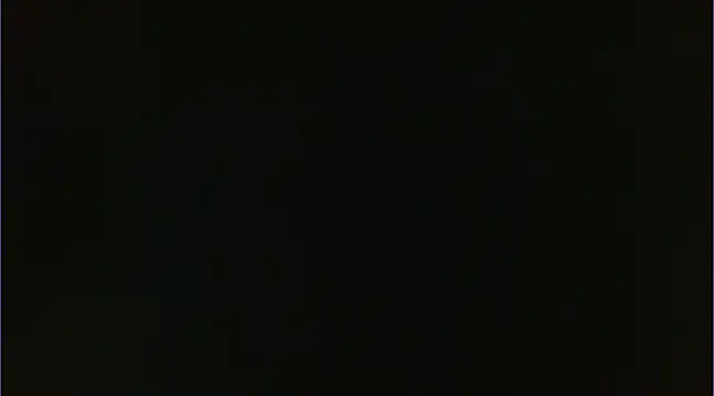 Geisha Seniers online show from 14, 1, 2025